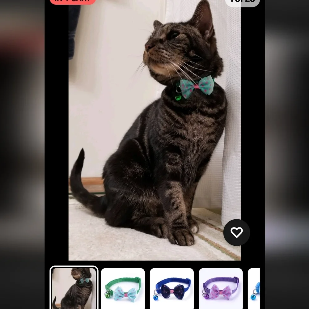 Meijer Kitten Novelty Safety Collar - Blue and Orange